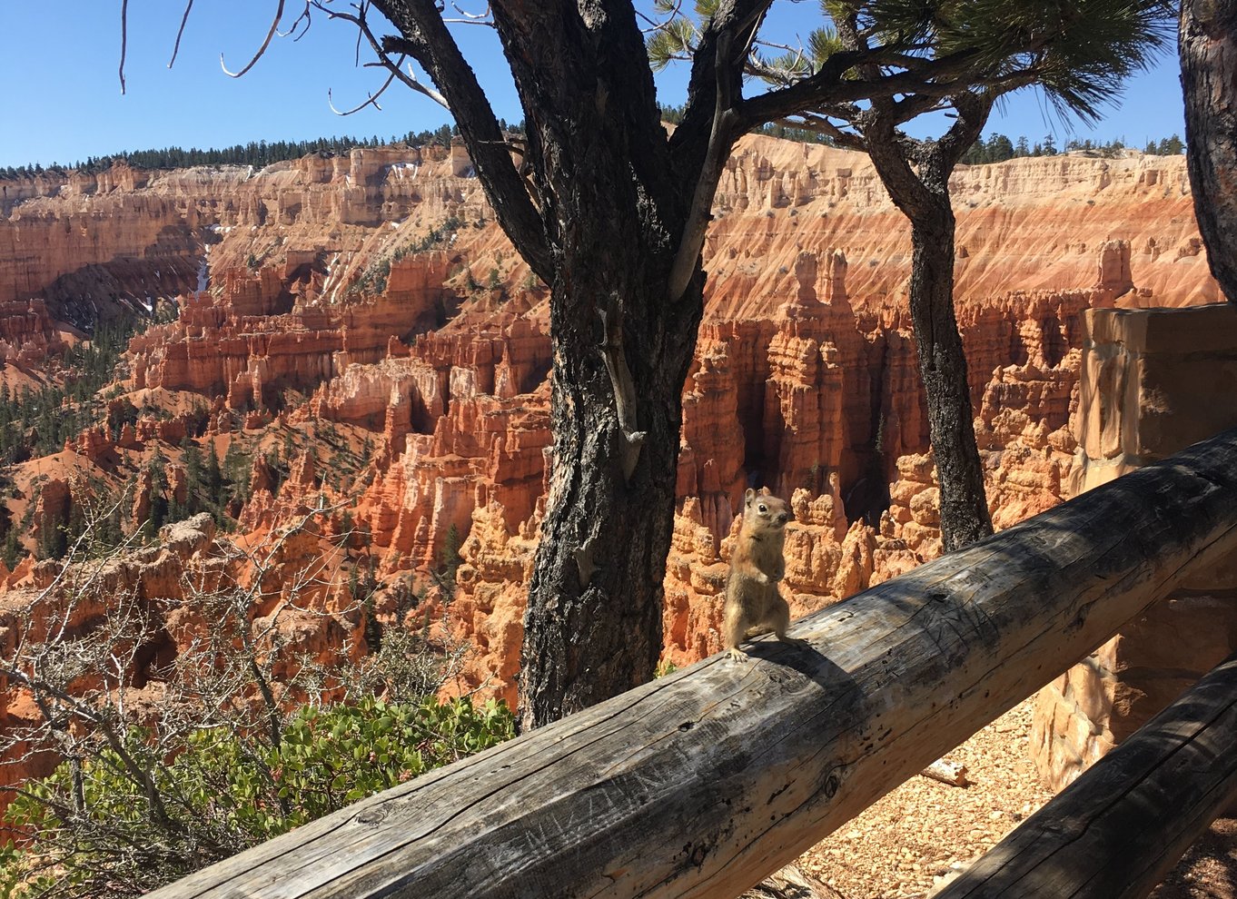 Bryce Canyon National Park: Guidet E-Bike Tour