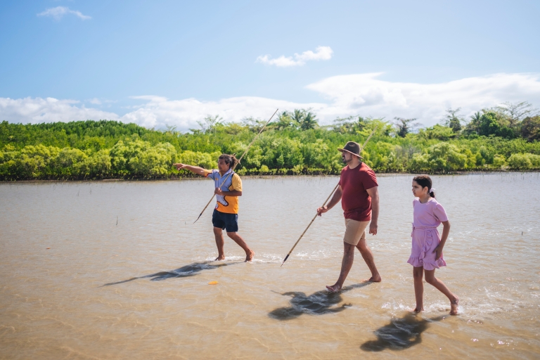 Port Douglas: Full Day Daintree Cultural Tour with Lunch Private Tour 1-4 people 8 hours