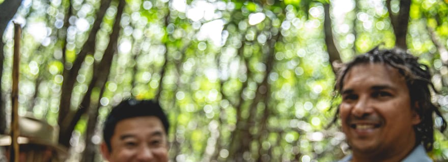 Port Douglas : Journée complète de visite culturelle de la Daintree avec déjeuner