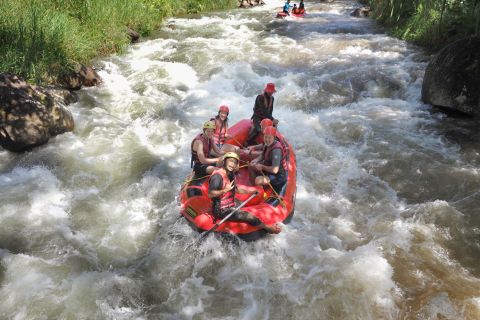 Half-day Tour : Whitewater Rafting + Lunch