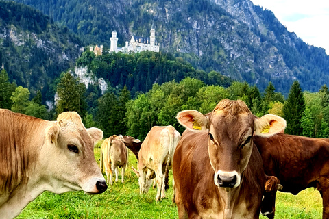 From Füssen: Neuschwanstein & Linderhof Castles Private Tour