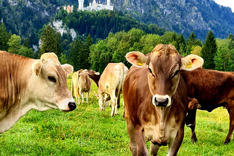 From Füssen: Neuschwanstein & Linderhof Castles Private Tour