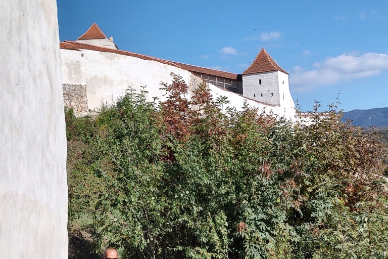 Visita al Santuario del Oso Libearty, la Fortaleza de Rasnov y el Castillo de Bran