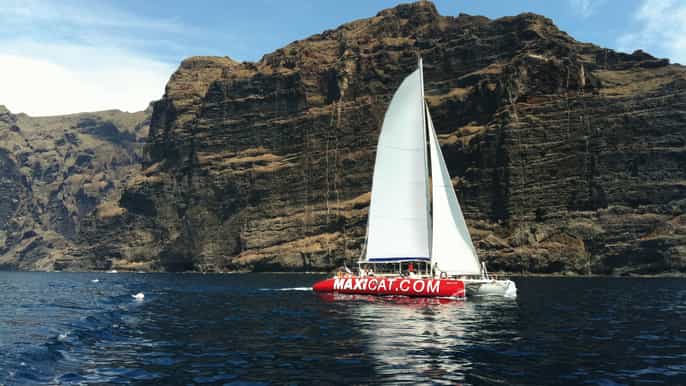 Costa Adeje: Whale and Dolphin Cruise with Food and Pickup
