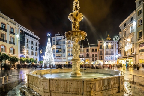 Malaga : visite à pied pour les seniors