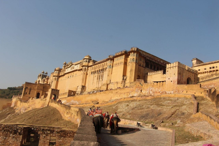 Au départ de New Delhi, excursion d'un jour à Jaipur.