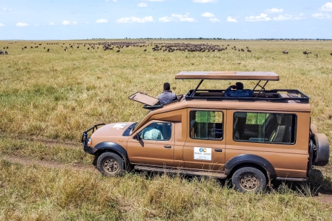 Z Arushy: Prywatna wycieczka safari do Tarangire i Serengeti