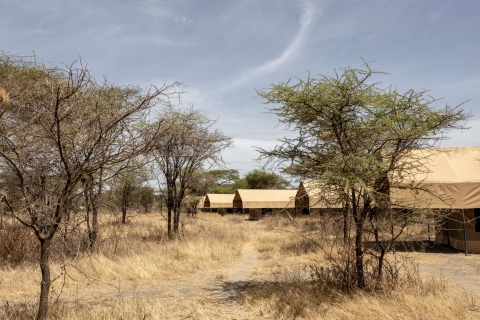 Au départ d'Arusha : Safari privé au Tarangire et au Serengeti