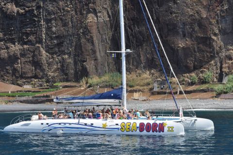 Funchal: crociera in catamarano per l'avvistamento di balene e delfini