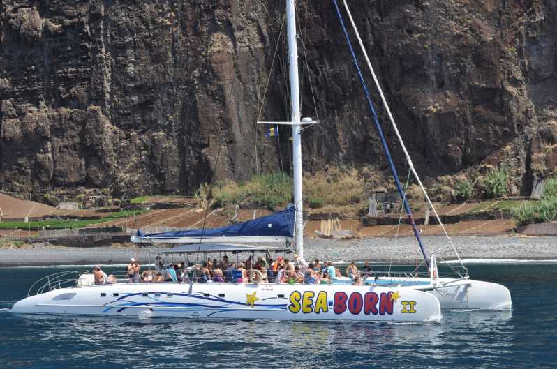 Funchal: Crociera per avvistare le balene e i delfini in catamarano