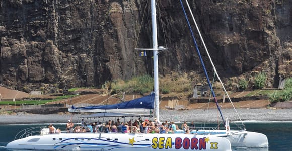 Funchal: Delfin- und Whale-Watching-Katamaranfahrt