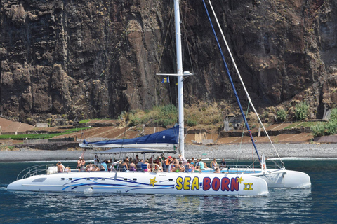 Funchal : observation de dauphins et baleines en catamaran