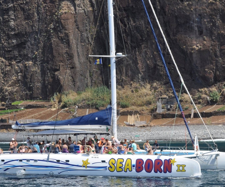 Funchal: crociera in catamarano per l'avvistamento di balene e delfini