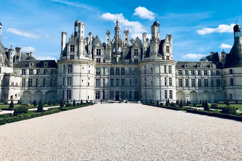 From Tours: Half-Day Chambord Castle Guided Trip