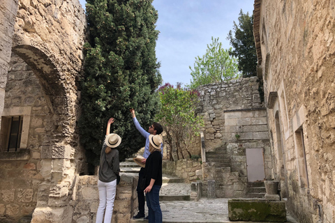 Z Marsylii: Arles, Les Baux i Saint Rémy de Provence