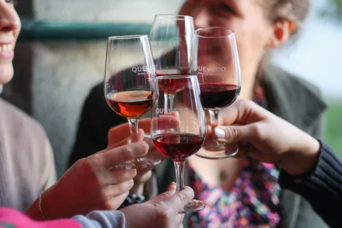 Vila Nova de Gaia: Porto Discovery Tasting