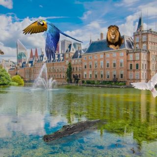 The Hague: Animals of the Hague City Family Exploration Game