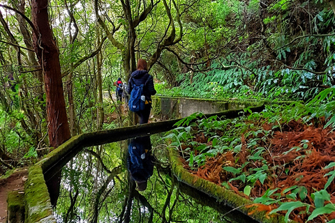 Açores: randonnée à São Miguel et Lagoa do Fogo