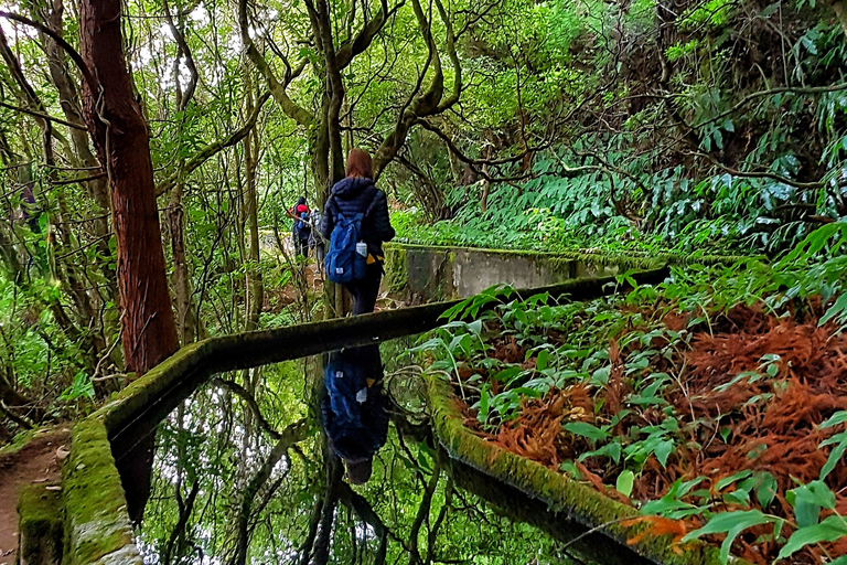 Azoren: wandeltocht São Miguel en Lagoa do Fogo