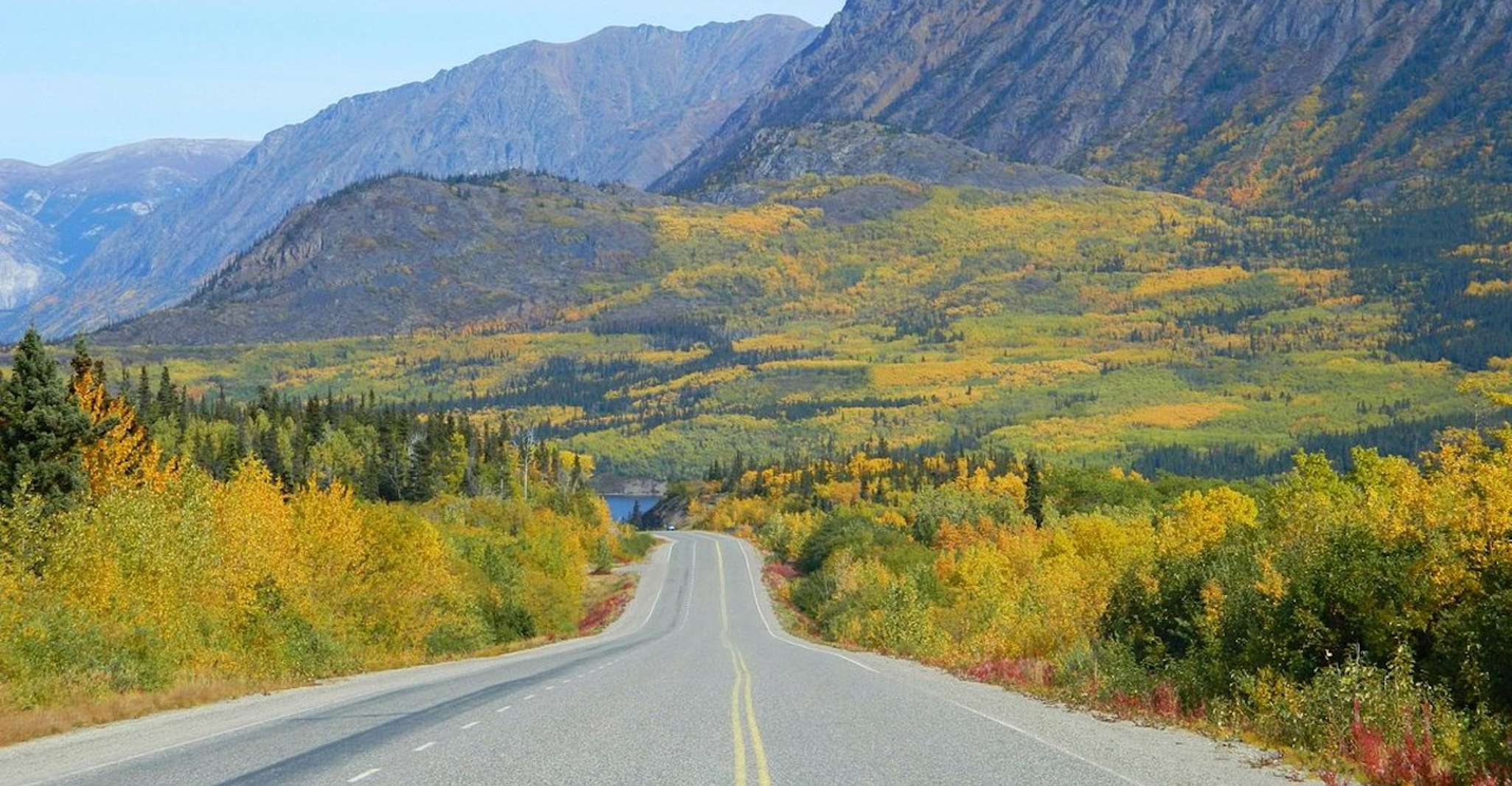 From Skagway, Skagway City & White Pass Summit Guided Tour - SuiteTrails