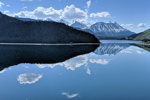 Skagway: tour combinato Yukon, White Pass e Husky Sled Camp