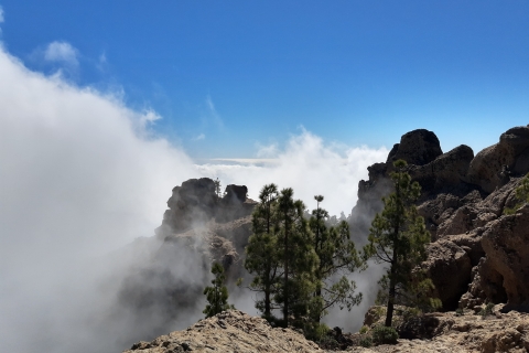 Gran Canaria: Wycieczka piesza po szczytach Gran CanariiAktywność z odbiorem w strefie „Maspalomas”.
