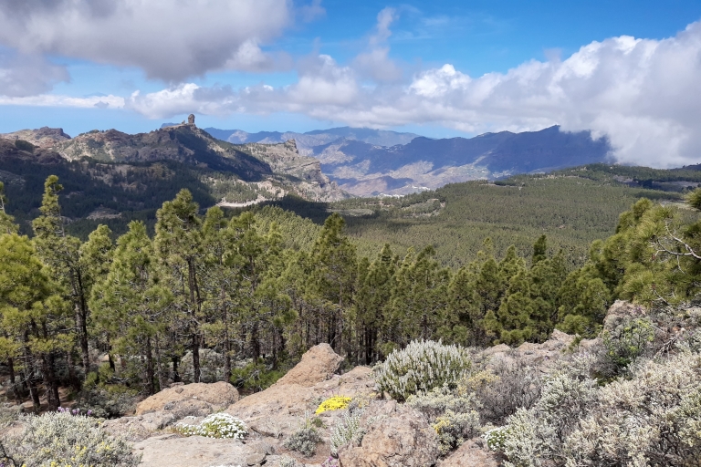 Gran Canaria: Wandertour zu den Gipfeln von Gran CanariaAktivität mit Abholung in der Zone "Maspalomas"