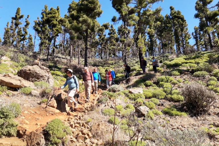 Gran Canaria: Peaks of Gran Canaria Hiking Tour Activity with Pick up in "Maspalomas" zone