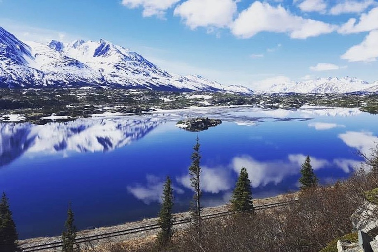من Skagway: جولة White Pass وجسر Yukon Suspension Bridge