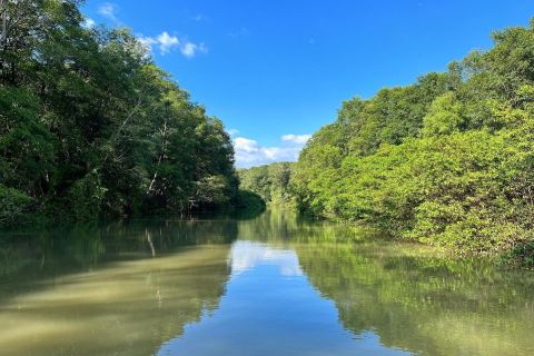 Da Doka Tárcoles: Jungle River e Crocodiles Boat Trip