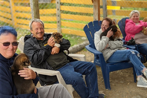 Da Skagway: Combinazione Yukon Sled Dog Mushing e White PassDa Skagway: Yukon Sled Dogs e White Pass Summit Tour
