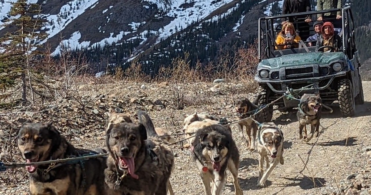 Von Skagway aus: Yukon Sled Dog Mushing & White Pass Combo