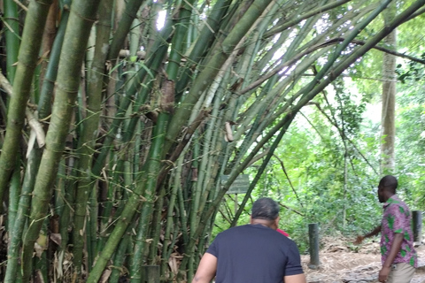 The Door of No Return/ Cape Coast Castles/ Kakum Canopy Park