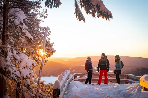 De Montreal: excursão de um dia ao Parque Nacional de Mont-Tremblant