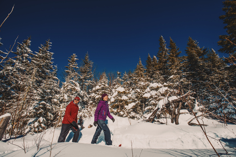 De Montreal: excursão de um dia ao Parque Nacional de Mont-Tremblant