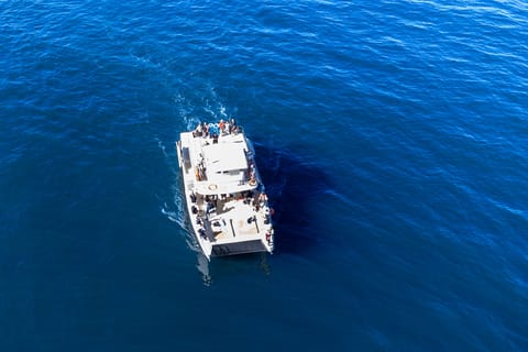 Nuevo Vallarta: Whale Watching Tour on the Triton Catamaran