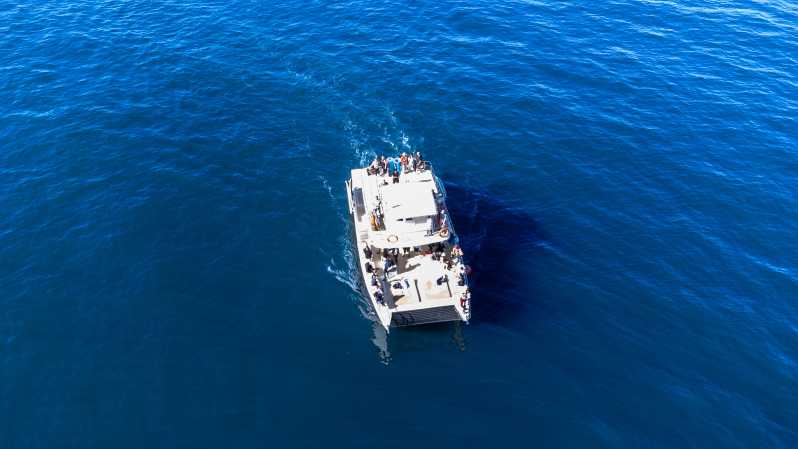 Nuevo Vallarta: Excursión de Avistamiento de Ballenas en el Catamarán Tritón