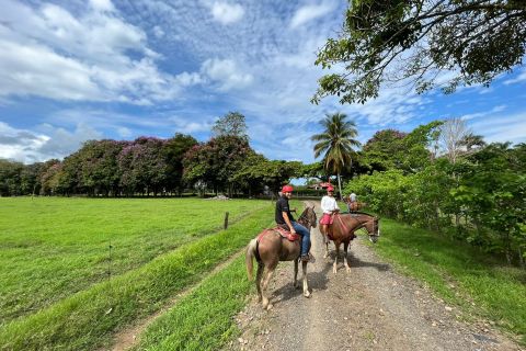 Tárcoles: Guided Horseback Riding Tour at Hacienda Nosavar