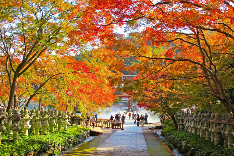 Osaka : Visite guidée du temple Katsuo-ji (Feuilles d&#039;automne)