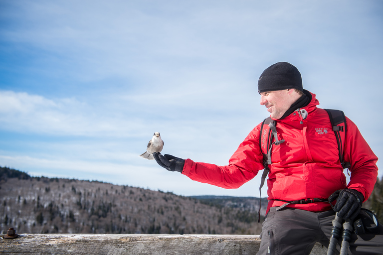 From Montreal: Sept-Chutes Regional Park Hike and Swim