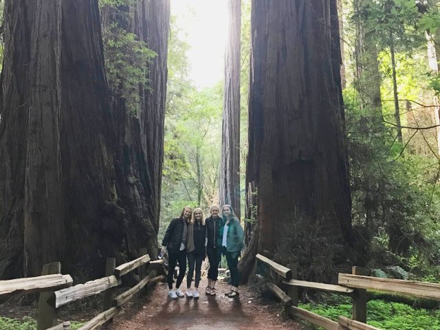 San Francisco Tour zu den Muir Woods Giant Redwoods &amp; Sausalito