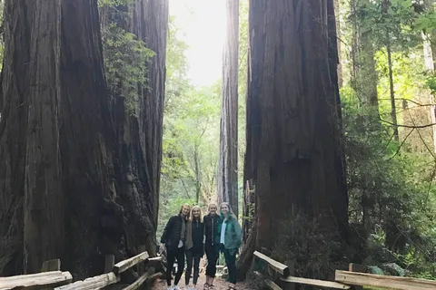 San Francisco Tour to Muir Woods Giant Redwoods & Sausalito