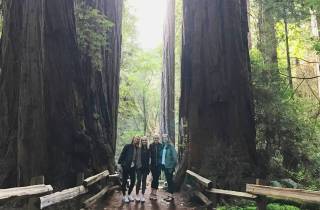 San Francisco Tour zu den Muir Woods Giant Redwoods & Sausalito