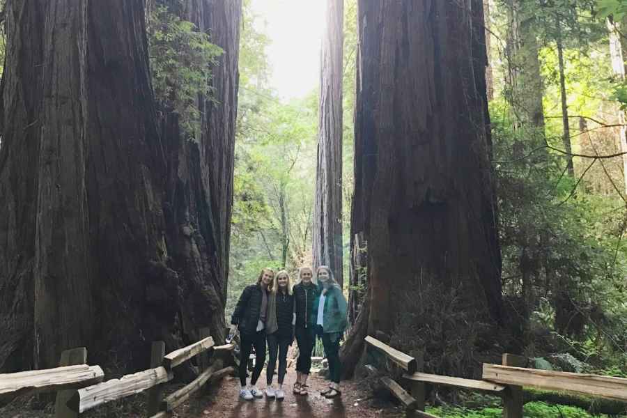 San Francisco Tour zu den Muir Woods Giant Redwoods & Sausalito. Foto: GetYourGuide