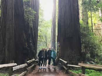 San Francisco Tour zu den Muir Woods Giant Redwoods & Sausalito