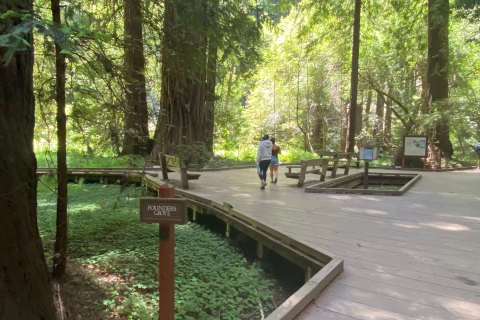 San Francisco : visite du parc national de Muir Woods et de Sausalito