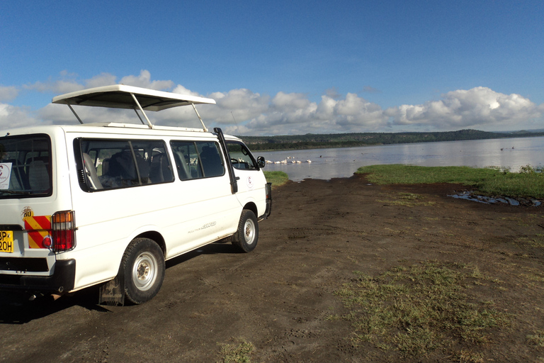 Jednodniowa wycieczka do Parku Narodowego Amboseli z NairobiAmboseli jednodniowa wycieczka z Nairobi