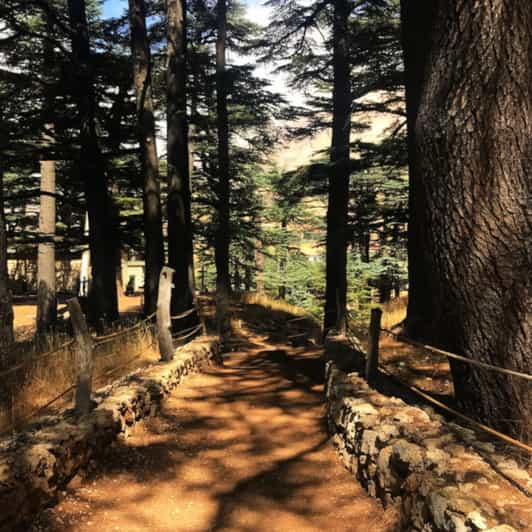 From Beirut: Guided Qadisha Valley, Museum, and Cedars Tour