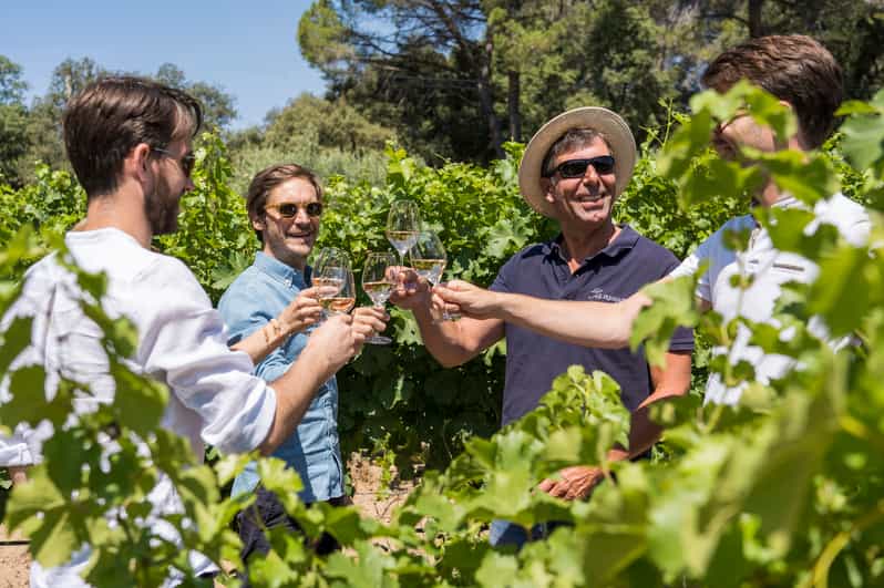 From Bordeaux: Saint-Emilion Day Trip with Lunch and Wine