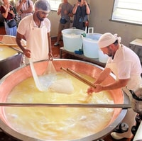 Parma, Traditional Cheese Factory Visit with Tasting - Housity